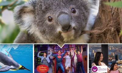 Sydney Attractions Pass - 3 Attractions