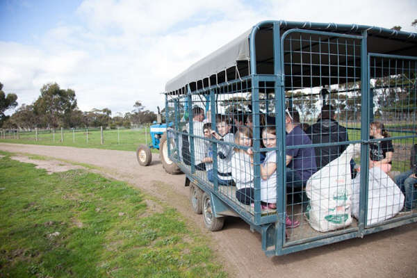 Victoria Farm Stay Accommodation - Animal Land
