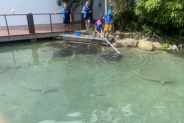 Kids feeding the rays and reef sharks