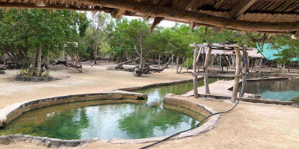The Nasinu Hot Springs and Mud Bath