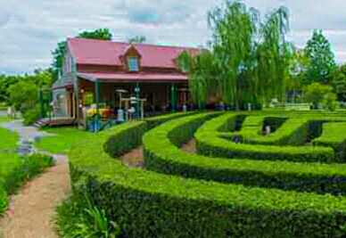 NSW farm stays - Amazement Farmstay