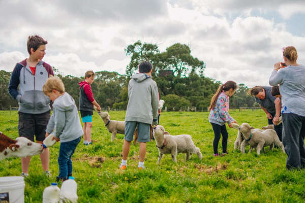 Victoria Farm Stay Accommodation - Freshwater Creek Cottages