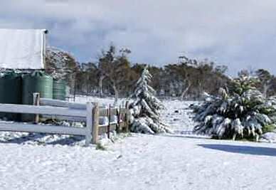NSW farm stays - Highland Lodge Farmstay