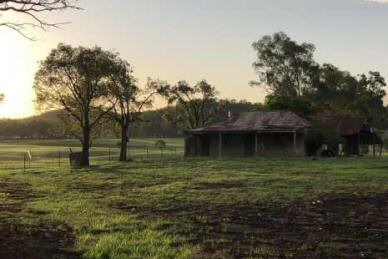 NSW farm stays - Pine View Camping & Farmstay