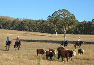 NSW farm stays - Yarrabin Holiday Ranch