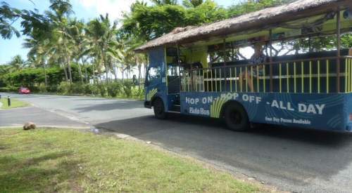 Fiji travel guide