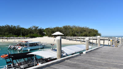 Family travel Heron Island Review