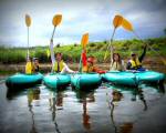 Bellingen Canoe Adventures
